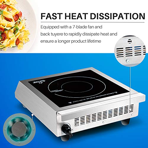 Induction Burner Watts at Sharon Rowland blog