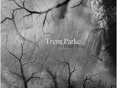 Amazon.com: Trent Parke: Minutes to Midnight: 9783869302058: Parke