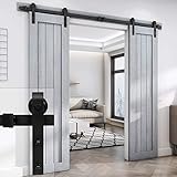 EaseLife 8 Foot Double Sliding Barn Door Hardware Track Kit-Heavy Duty | DIY Easy Install | Ultra Smooth Quiet | 8 Foot Rail Double Kit (Standard Hanger)
