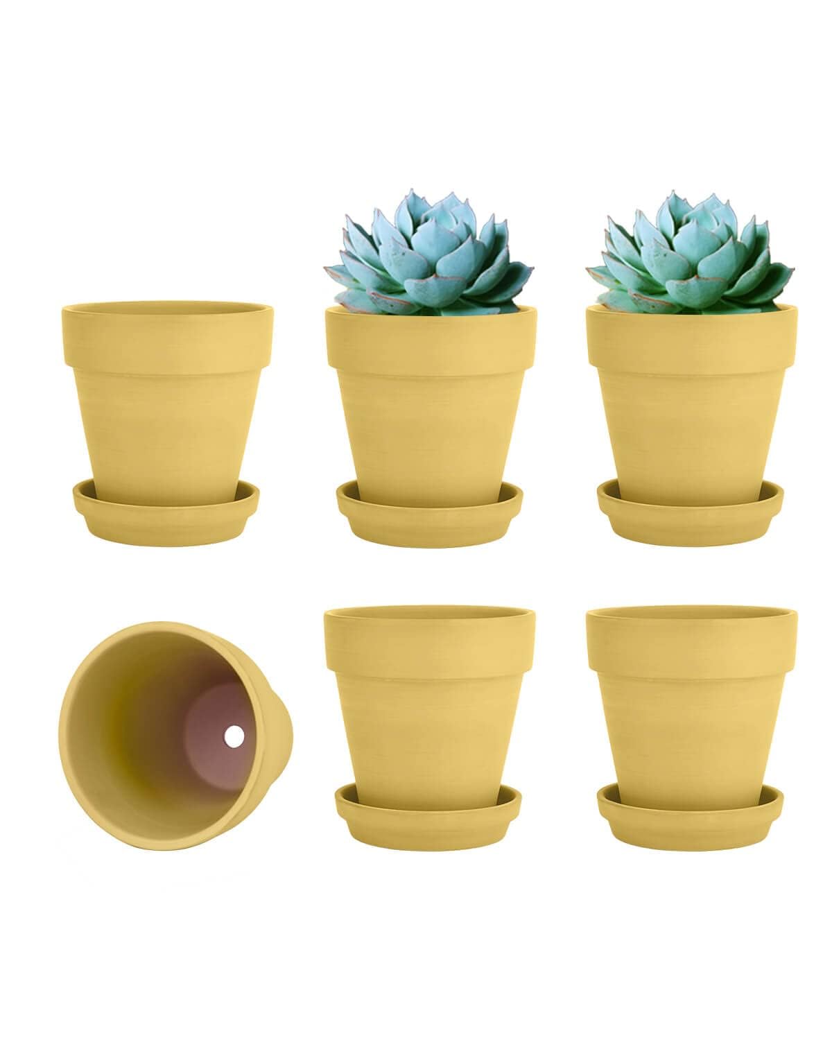 Photo 1 of vensovo 4 Inch Small Yellow Terracotta Plant Pots with Saucer - 6 Pack Clay Flowerpots with Drainage, Great for Indoor Outdoor Plants, Crafts, Wedding Favor