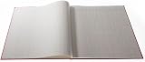 Collins Cathedral 150 Series ABA 12 Cash Columns Red 150/12.1 Accounting Book view 3