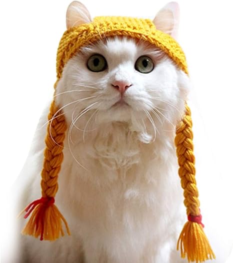 Amazon Co Jp ペット帽子 かわいい漫画の手作りの犬猫ハットアニマルパーティーコスチュームknitedキャップペットパーティーの装飾アクセサリーペットキャップペット Lwqjp Color Braid Size M ペット用品