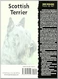 Image de Scottish Terrier (Excellence)