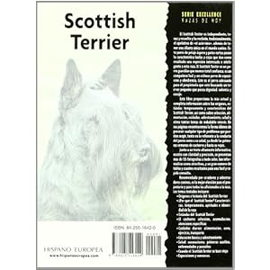 Scottish Terrier (Excellence)