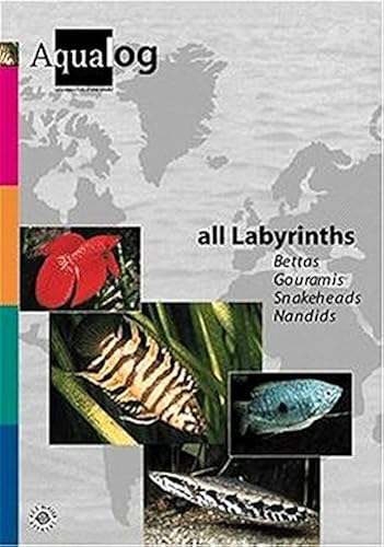 Download Aqualog All Labyrinths, Bettas, Gouramis, Snakeheads and Nandids PDF