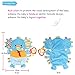 TOLOLO Cartoon Animals Plush Toys Baby Sleeping Toys Newborn Children to Appease Towel Cloth Can Bite (Elephant)