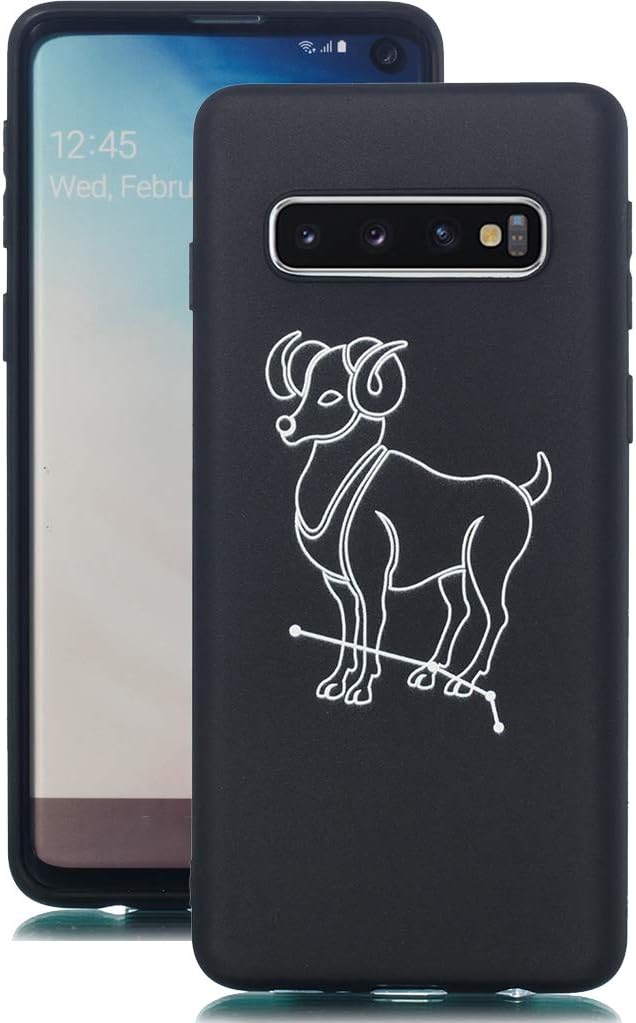 custodia rgb per ariete