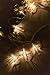 Ling's moment Rose Gold Cactus Shaped Metal Cage 5Ft 10LED String Light for Wedding Decor Hawaii Party Room Fairy Light Cactus Party Decorations Battery Operated(Warm White Light)