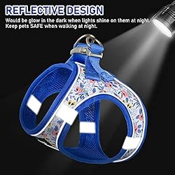 GAMUDA Small Pet Harness Collar and Leash Set, Step