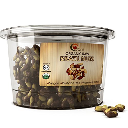 USDA Organic Brazil Nuts 100 Natural Raw Whole Brazilian Nuts Certified GlutenFree and Kosher