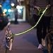 NiteyLeash - LED Glow in The Dark Pet Dog Leash (Green)