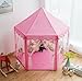 Pericross Snowflake Veil Hexagon Princess Play Tent with Metal Frame and 10M 100 Diodes LED Brass Wire Lights and Flash Control (Pink)