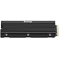 Nextorage Japan 4TB NEM-PAC PlayStation 5 SSD, M.2 NVMe with Heatsink, Up to 7400MB/s, comaptible with PS5 Consoles, PCIe Gen4 Internal Solid State Drive, NEM-PAC4TB/N SYM