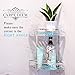 Carpe Diem shower shelf（No Drlling）Durable Aluminum 2 Tiers Shower Organizer Shower Rack Adhesive Suction Corner Shower Caddy