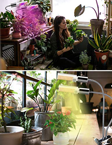 LED Grow Light for Indoor Plant, Winjoy Upgraded Full Spectrum Plant Light with Replaceable Bulb,Dual Head 45W Plant Grow Lamp with Flexible Gooseneck, Professional for Seedling Blooming Fruit ... - Thumbnail 5