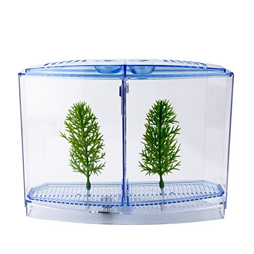 Saim Betta Bow 2-Compartment Fish Tank Kit Aquarium Tank