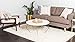 Unique Loom Solid Shag Collection Area Rug (4' 1