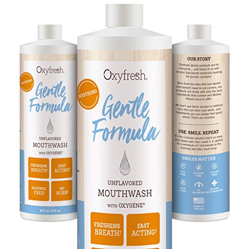 The 10 best toothpaste unflavored 2019 Infestis Reviews