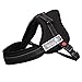 Ecoastal Dog Body Harness Padded Extra Chest Straps Heavy Duty with Handle Comfortable for Labrador, Golden Retriever Large Dogs