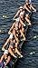 Sculling & Rowing Gloves (Small)