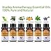 VSADEY Essential Oils Set, Top 6 Aromatherapy Essential Oils for Diffuser, Massage, Skin and Hair Care - Sweet Orange, Lavender, Tea Tree, Peppermint, Lemongrass, Eucalyptus 100% Pure, 6 x 10ml