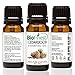 BioFinest Cedarwood Oil - 100% Pure Cedarwood Essential Oil - Promote Hair Growth & Boost Metabolism - Premium Quality - Therapeutic Grade - Best For Aromatherapy - FREE E-Book (10ml)