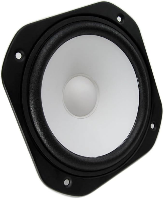 ns 10 woofer