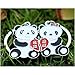 DreamsEden China National Treasure Animal Panda Couple Keychain (with Gift Box) Lovely Pendant Lovers Sweetheart Key Ring Key Chain for Valentine Wedding Anniversary (A Pair)