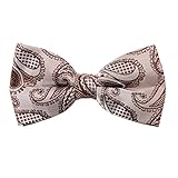 DBD7B.01 Elegant Patterns Microfiber Pre-tied Bow Tie For Interview By Dan Smith