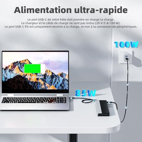 Station d'accueil USB-C 3 moniteurs avec HDMI, DP, VGA, 100 W PD, USB3.0&2.0, RJ45, emplacements SD/TF, Audio/Microphone, pour Lenovo/HP/Dell, etc. - Gris
