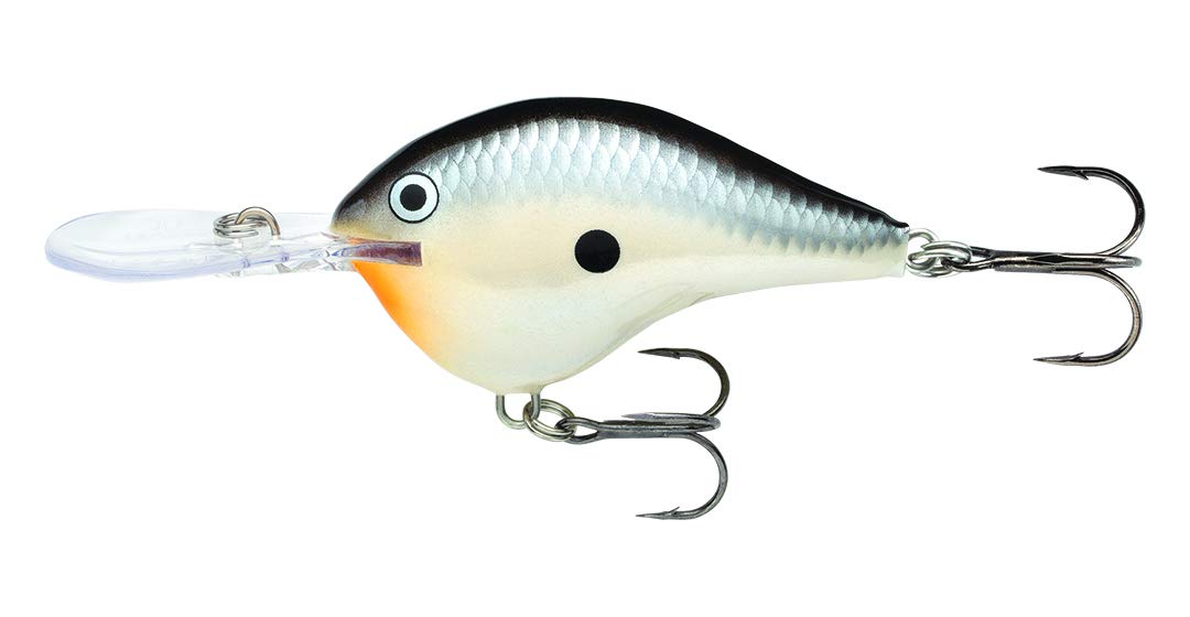 Rapala Ike's Custom Ink Crankbait - Penguin DT06-2: Premium Deep Diving Bass Lure