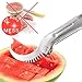 CSG Watermelon Slicer & Tongs - Quickly Slice then Serve Fresh Watermelon without all the Mess