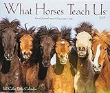 What Horses Teach Us 2019 Box Calendar by