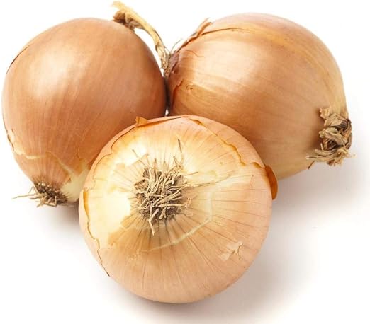 vegherb 15+ Nueva Caramelo híbrido de Cebolla (tratado) Semillas ...
