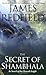 The Secret of Shambhala: In Search of the Eleventh Insight by James Redfield
