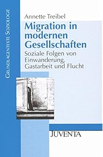 Internationale Migration Einsichten Themen Der Soziologie - 