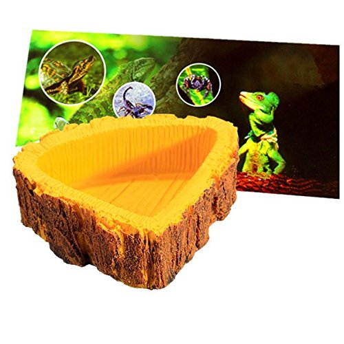 Reptile Tortoise Water Dish Triangle Food Bowl Amphibians Gecko