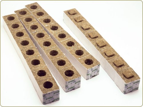 GroDan 3 inch Rock Wool Transplanting Cubes x 8