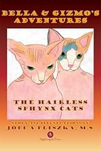 Bella and Gizmo's Adventures - The Hairless Sphynx Cats
