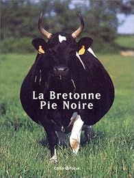 La  Bretonne pie noire