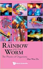 The Rainbow and the Worm: The Physics of Organisms - 3rd