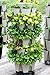 Greenstalk Mover Vertical Planters