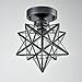AXILAND Industrial Moravian Star Ceiling Light with 8-inch Glass Shade, 1 Light