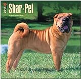 Shar-Pei 2015 Square 12x12 (Multilingual Edition)