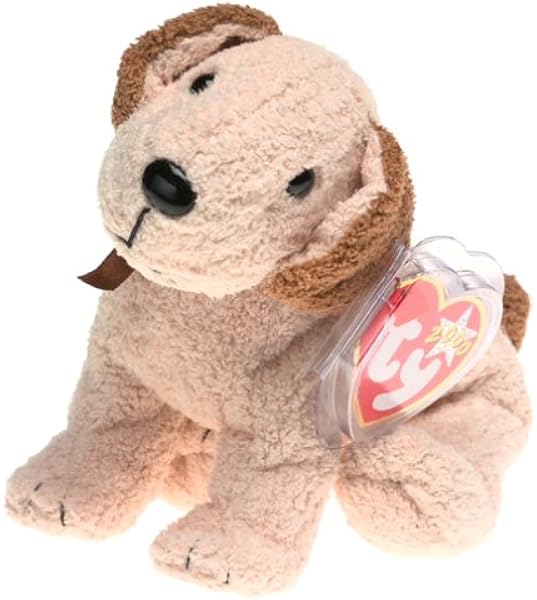 austrian pointer dog