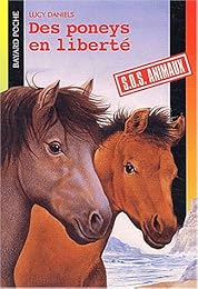 Des  poneys en liberté