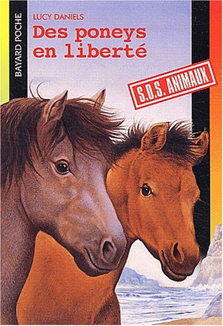 Des  poneys en liberté