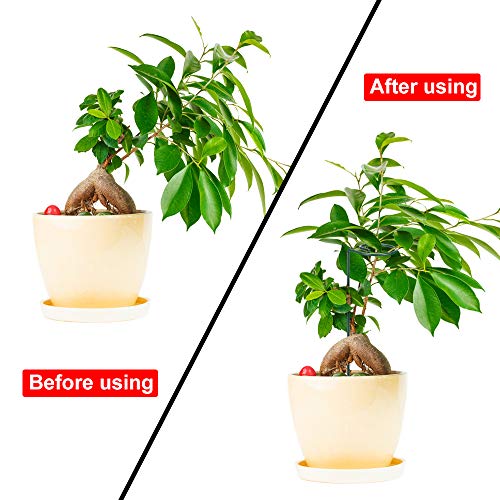 Yotako 3 Pack Metal Plant Support Stakes, 3 Pcs DIY Single Stem Plant Sticks, Plant Cage Support Rings, Garden Tomato Cage with 30 pcs Plant Clips for Plant Flower Growing - Thumbnail 3