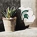 Collegiate NCAA Car Decal Made from Premium Weatherproof Vinyl (Michigan State Spartans - State of MI)
