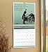 Someecards - Office 2017 Calendar